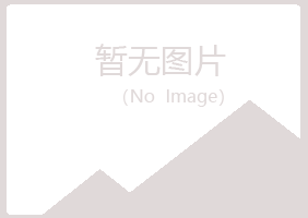 陕西紫山会计有限公司